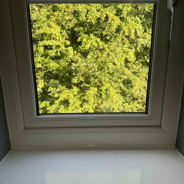 Background: Window